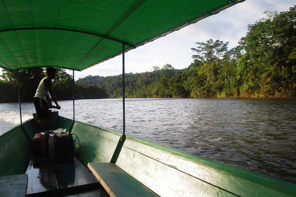 Amazon boat cruise