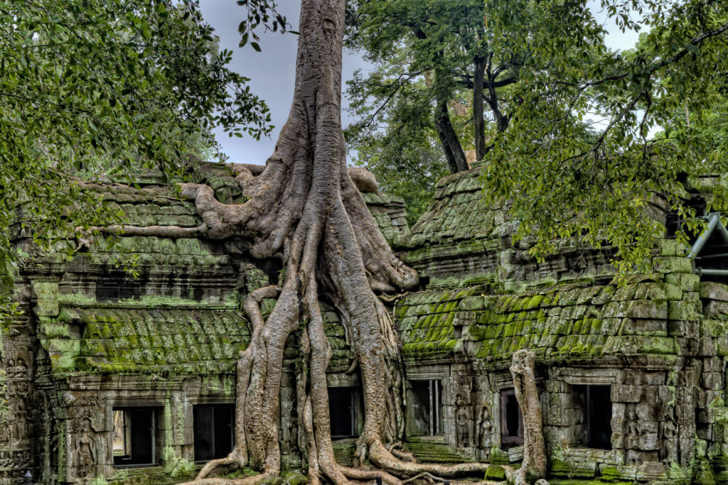 Angkor Temple