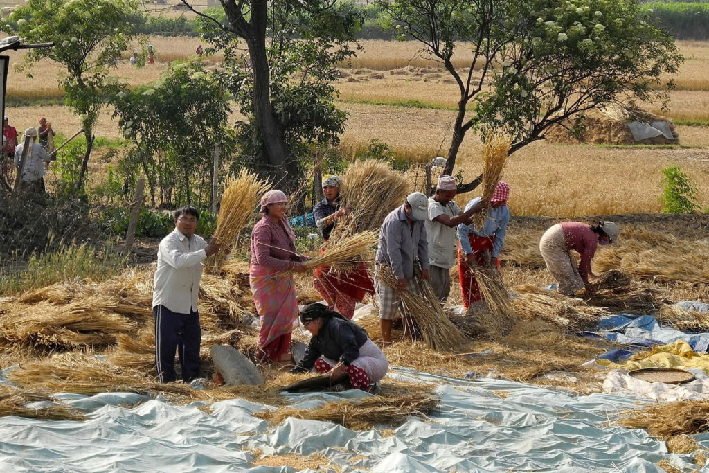 Working the land Nepal